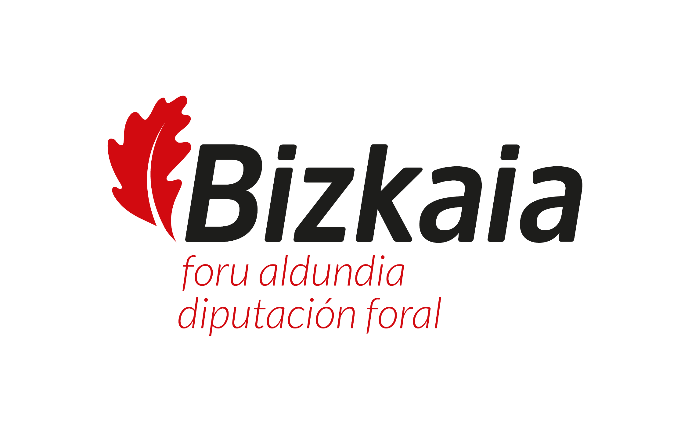 Bizkaia Foru Aldundia — Diputación Foral